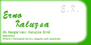 erno kaluzsa business card