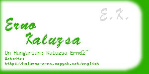 erno kaluzsa business card